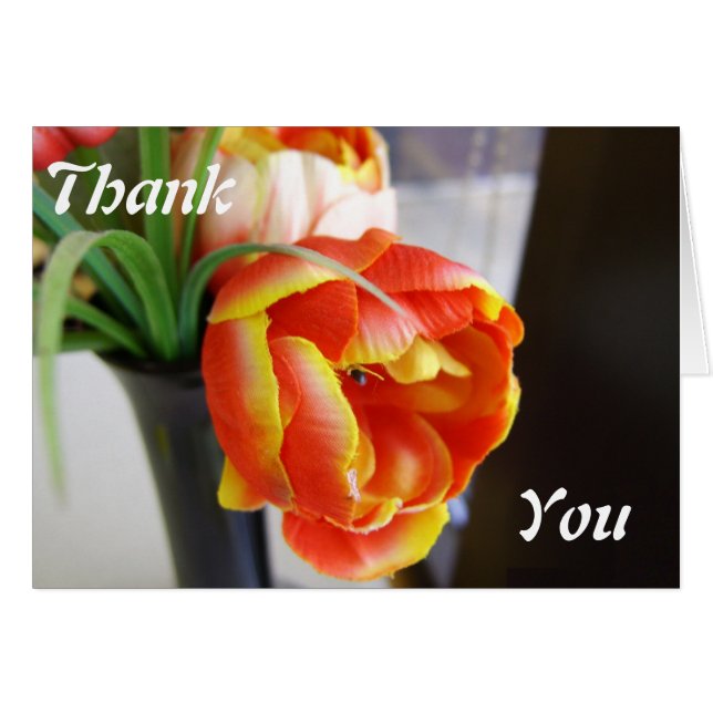 Tulipán de seda (Anverso (Horizontal))