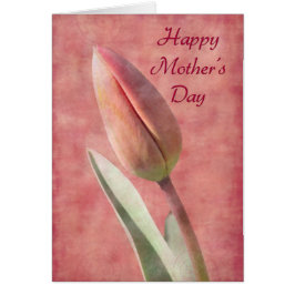Tulipán del Día de la Madre
