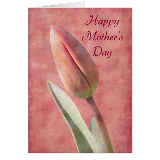 Tulipán del Día de la Madre (Frente)