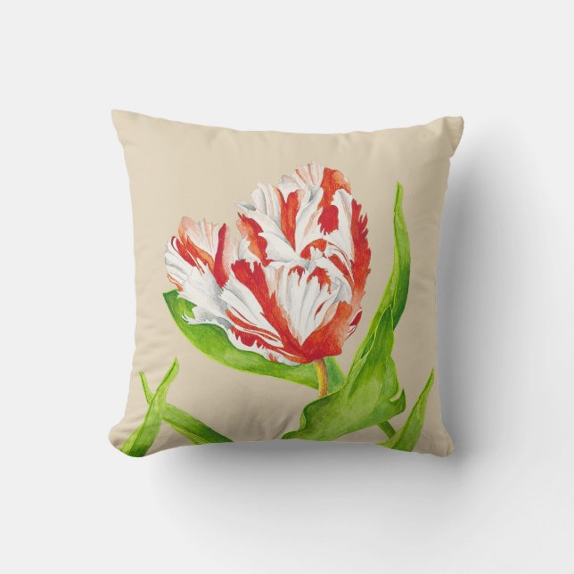 Tulipán Estella Rijnveld en una Almohada (Anverso)