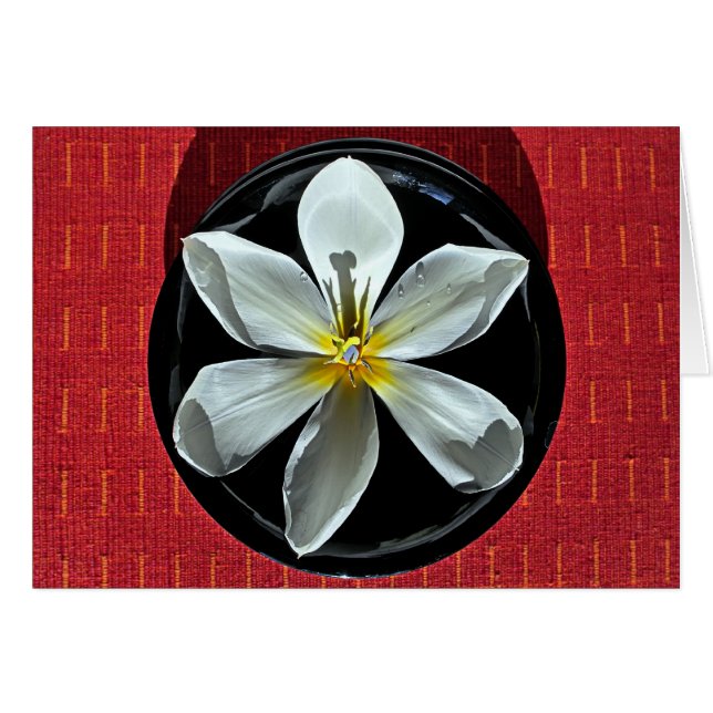 Tulipán flotante (Anverso (Horizontal))