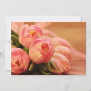 Tulipán Mariposa Rosa Romántico