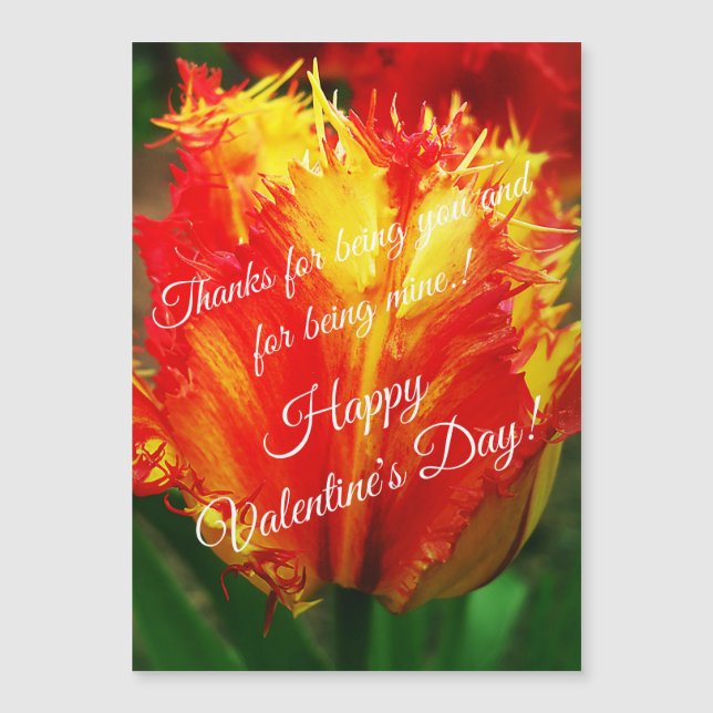 Tulipán rojo amarillo con el día de San Valentín (Anverso)