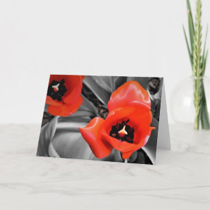 Tulipán rojo, tarjeta
