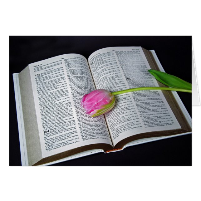 Tulipán Rosa En La Simpatía De La Biblia (Anverso (Horizontal))