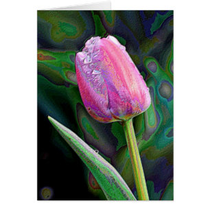 Tulipán rosado aumentado
