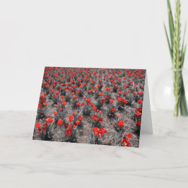 Tulipán, tarjeta