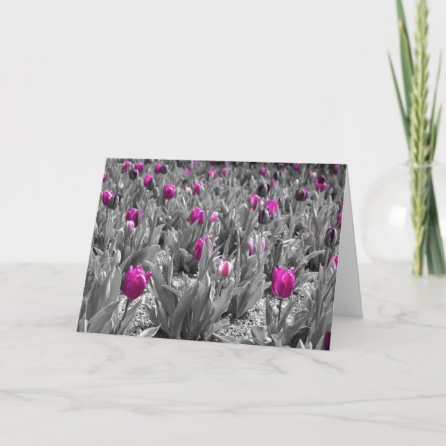 Tulipán, tarjeta (Anverso)