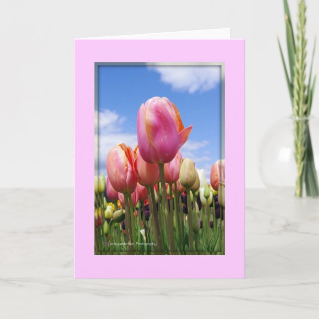 Tulipanes Al Sol - Tarjeta En Blanco (Anverso)
