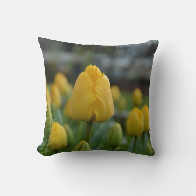 Tulipanes amarillos en el Cojín decorativo de camp (Anverso)
