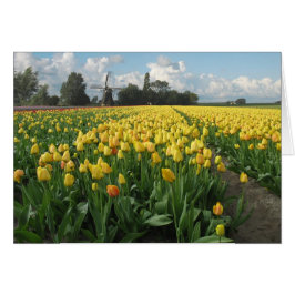 Tulipanes amarillos en un campo y molino de viento