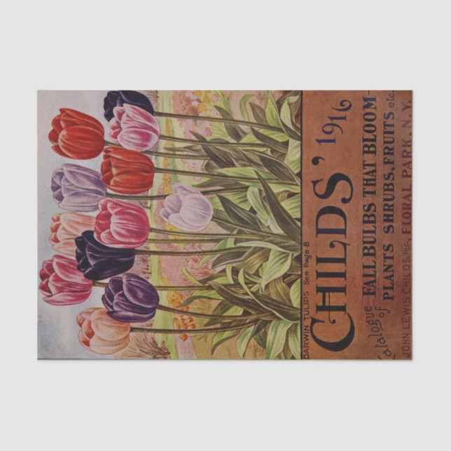 Tulipanes antiguos de la caída del papel seda de (Anverso)