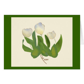 tulipanes blancos