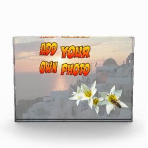 Tulipanes blancos con bloque de fotos de abejas