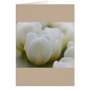 Tulipanes blancos con tarjeta de Personalizado par