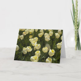 Tulipanes blancos en la tarjeta de felicitación de