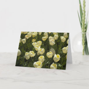 Tulipanes blancos en la tarjeta de felicitación de