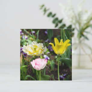 Tulipanes blancos, rosas y amarillos en el jardín