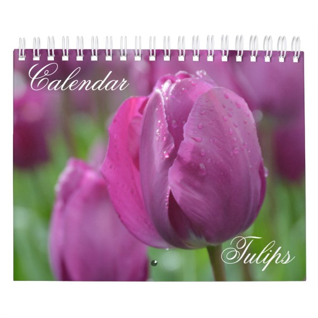 Tulipanes de calendario (Tapa)