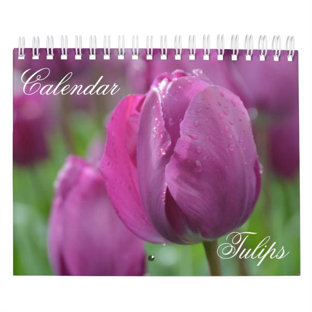 Tulipanes de calendario (Tapa)