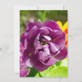 Tulipanes de Lilac en un día soleado