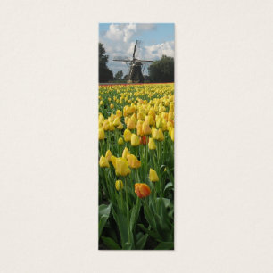 Tulipanes de primavera y molino de viento