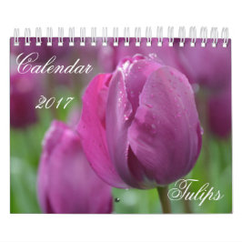 Tulipanes del Calendario 2017