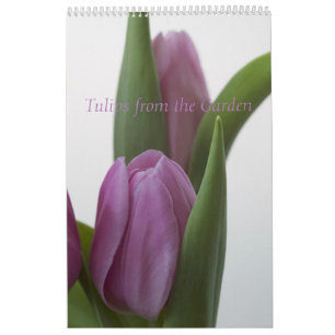 Tulipanes del calendario de jardines