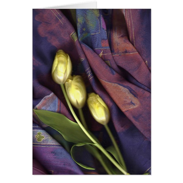 Tulipanes del corazón (Frente)