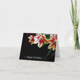 Tulipanes elegantes de las tarjetas de cumpleaños