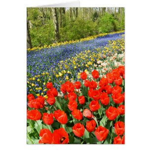 Tulipanes en el bosque