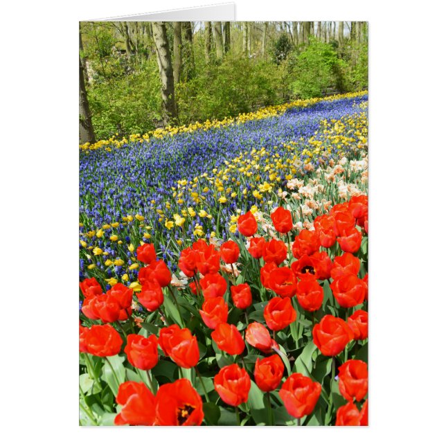 Tulipanes en el bosque (Frente)