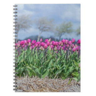 Tulipanes en el cuaderno del viento