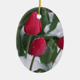 Tulipanes en el ornamento de la nieve