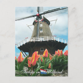 Tulipanes en la postal holandesa