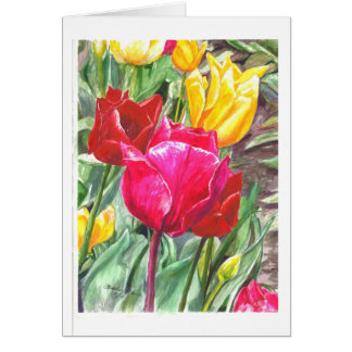 Tulipanes en su mejor