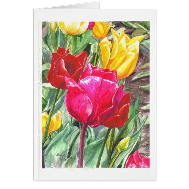 Tulipanes en su mejor (Frente)
