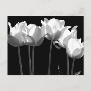 Tulipanes, Invitación a matrimonio B&W