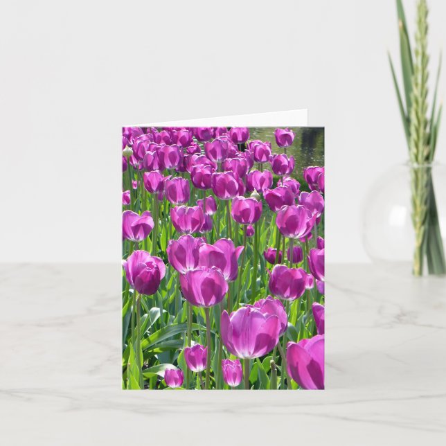 Tulipanes morados (Anverso)