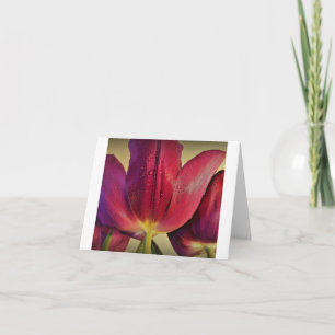 Tulipanes morados