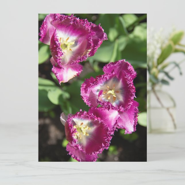 Tulipanes morados en el jardín (Anverso de pie)