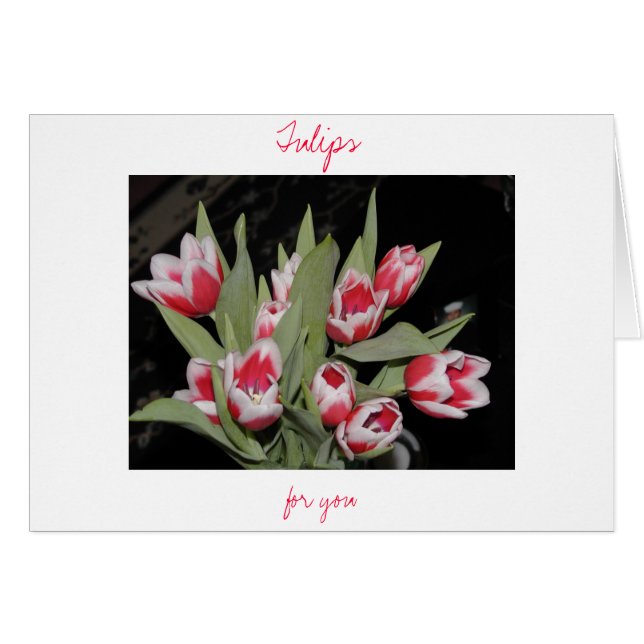 Tulipanes Para Usted (Anverso (Horizontal))