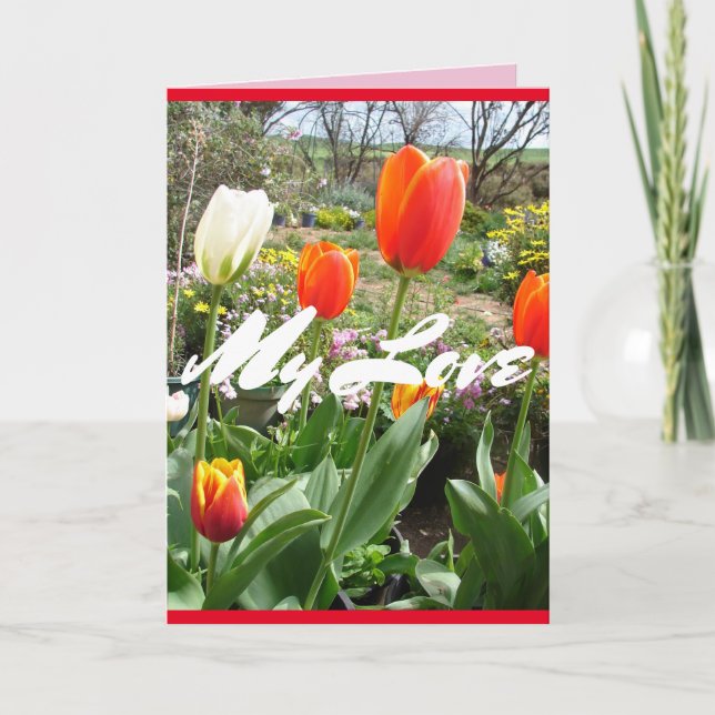 Tulipanes Rojos Mi Amor Tarjeta de flores de prima (Anverso)