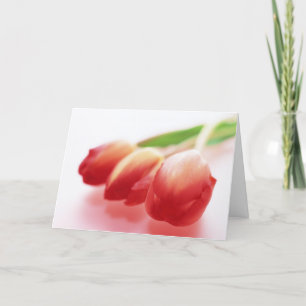 Tulipanes rojos simples toda la tarjeta de