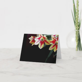 Tulipanes rojos y amarillos de la tarjeta de nota