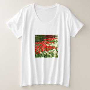 Tulipanes rojos y blancos