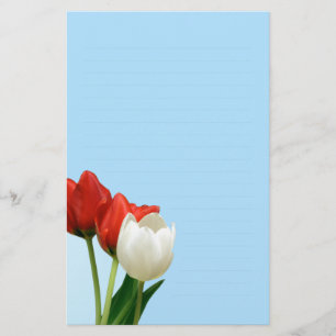 Tulipanes rojos y blancos en el papel de escribir