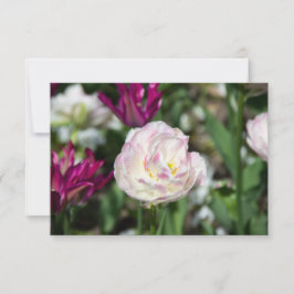 Tulipanes rosa brillante en un día soleado