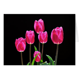 Tulipanes rosados calientes