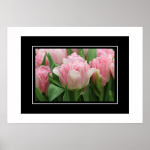 Tulipanes rosados posters